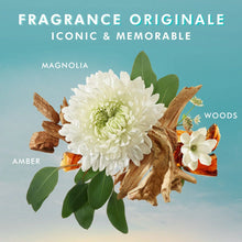 Cargar imagen en el visor de la galería, MOROCCANOIL SHOWER GEL FRAGRANCE ORIGINALE 250 ML
